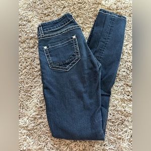 Daytrip Lynx skinny jeans